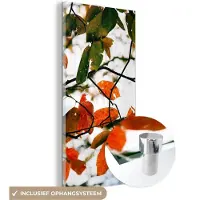 MuchoWow Glasschilderij 20x40 cm - Schilderij acrylglas - Herfst - Bladeren - Landelijk - Seizoenen - Foto op glas - Schilderijen