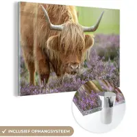 MuchoWow Glasschilderij 60x40 cm - Schilderij acrylglas - Schotse Hooglander - Paars - Bloemen - Foto op glas - Schilderijen