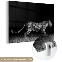 MuchoWow Glasschilderij - Acrylglas - Foto op glas - Wilde dieren - Luipaard - Gras - Zwart - Wit - Muurdecoratie dieren - 180x120 cm - Woonkamer - Kamer decoratie - Wanddecoratie