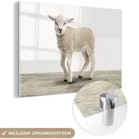 MuchoWow Glasschilderij 30x20 cm - Schilderij acrylglas - Lammetje - Schaap - Dieren - Kinderen - Meisjes - Jongens - Foto op glas - Schilderijen