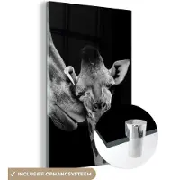 MuchoWow - Glasschilderij - Foto op glas - Acrylglas - Wilde dieren - Giraffe - Familie - Zwart - Wit - 40x60 cm - Glasschilderij giraffe - Muurdecoratie glas - Glasschilderij dieren