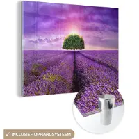 MuchoWow Glasschilderij - Foto op glas - Lavendel - Boom - Zon - Bloemen - Paars - Acrylglas - 160x120 cm - Glasschilderij natuur - Schilderij paars - Schilderij glas - Muurdecoratie