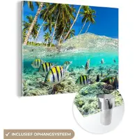 MuchoWow Glasschilderij 40x30 cm - Schilderij acrylglas - Zee - Vissen - Koraal - Foto op glas - Muurdecoratie woonkamer - Wanddecoratie slaapkamer - Schilderijen