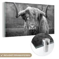 MuchoWow Glasschilderij 120x60 cm - Schilderij acrylglas - Schotse Hooglander - Koeienkop - Landschap - Natuur - Koe - Foto op glas - Schilderijen