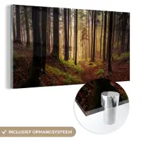 MuchoWow Glasschilderij 40x20 cm - Schilderij acrylglas - Bomen - Natuur - Bos - Foto op glas - Schilderijen