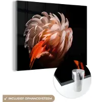 MuchoWow Glasschilderij 40x30 cm - Schilderij acrylglas - Flamingo - Veren - Licht - Macro - Foto op glas - Schilderijen