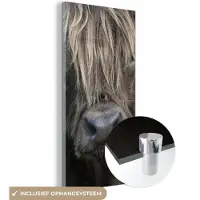 MuchoWow Glasschilderij 20x40 cm - Schilderij acrylglas - Schotse Hooglander - Bruin - Neus - Foto op glas - Schilderijen