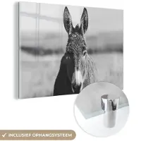 MuchoWow Glasschilderij 120x80 cm - Schilderij acrylglas - Ezel - Zwart - Dieren - Wit - Foto op glas - Schilderijen