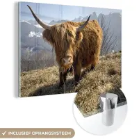 MuchoWow Glasschilderij 60x40 cm - Schilderij acrylglas - Schotse Hooglander - Berg - Sneeuw - Foto op glas - Schilderijen