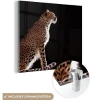 MuchoWow Glasschilderij 20x20 cm - Schilderij acrylglas - Cheeta - Dieren - Licht - Foto op glas - Schilderijen