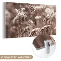 MuchoWow Glasschilderij 40x20 cm - Schilderij acrylglas - Planten - Bloemen - Winter - Sneeuw - Sepia - Foto op glas - Schilderijen
