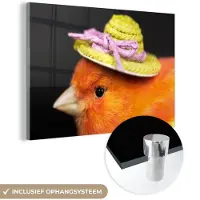 MuchoWow Glasschilderij 60x40 cm - Schilderij acrylglas - Vogel - Hoed - Oranje - Foto op glas - Schilderijen