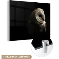 MuchoWow Glasschilderij 40x30 cm - Schilderij acrylglas - Uil - Vogel - Portret - Foto op glas - Schilderijen