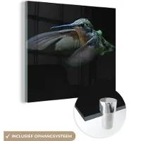MuchoWow Glasschilderij 20x20 cm - Schilderij acrylglas - Kolibrie - Vogel - Veren - Zwart - Foto op glas - Schilderijen