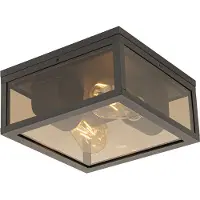 QAZQA Plafondlamp zwart met smoke glas 2-lichts IP44 - Charlois