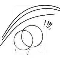 Campagnolo Cg-frd700 10-12s Schakelkabels Set