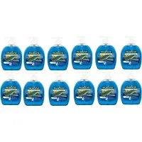 Palmolive Handzeep – Pompje Hygiene Plus Fresh Blauw - Voordeelverpakking 12 x 300 ML