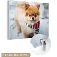 MuchoWow Glasschilderij 120x90 cm - Schilderij acrylglas - Hond - Sjaal - Sneeuw - Foto op glas - Schilderijen