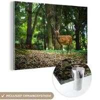 MuchoWow Glasschilderij 150x100 cm - Schilderij acrylglas - Hert - Bos - Dier - Foto op glas - Schilderijen