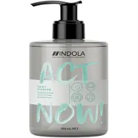 Indola Care & Styling ACT NOW! Care Purify Shampoo