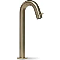 BLUE LABEL Viby Fonteinkraan Verhoogd - Geborsteld Goud PVD - Messing - Kranen, Fonteinkranen, Opbouw Fonteinkranen - 8711802004944