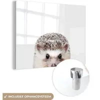 MuchoWow Glasschilderij 120x90 cm - Schilderij acrylglas - Egel - Dieren - Natuur - Wit - Foto op glas - Schilderijen