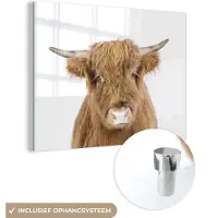 MuchoWow Glasschilderij 160x120 cm - Schilderij acrylglas - Schotse hooglander - Dieren - Bruin - Natuur - Foto op glas - Schilderijen