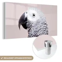 MuchoWow Glasschilderij 80x40 cm - Schilderij acrylglas - Papegaai - Grijs - Dieren - Natuur - Foto op glas - Schilderijen