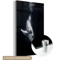 MuchoWow Glasschilderij - Walvis - Water - Natuur - Wanddecoratie glas - Acrylglas - Glasschilderij dieren - 20x30 cm