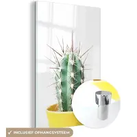 MuchoWow Glasschilderij 100x150 cm - Schilderij acrylglas - Cactus - Planten - Natuur - Groen - Foto op glas - Schilderijen