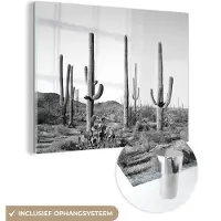 MuchoWow Glasschilderij 160x120 cm - Schilderij acrylglas - Cactussen - Zwart wit - Natuur - Landschap - Foto op glas - Schilderijen