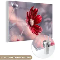 MuchoWow Glasschilderij 60x40 cm - Schilderij acrylglas - Bloemen - Rood - Natuur - Planten - Foto op glas - Schilderijen