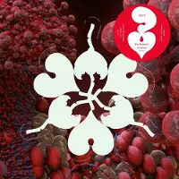 Konkurrent Björk Feat. Shygirl - The Fossora Remixes (12" Single) (Limited Edition) (Coloured Vinyl)