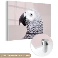 MuchoWow Glasschilderij 30x20 cm - Schilderij acrylglas - Papegaai - Grijs - Dieren - Natuur - Foto op glas - Schilderijen
