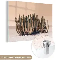 MuchoWow Glasschilderij 60x40 cm - Schilderij acrylglas - Cactus - Plant - Natuur - Groen - Foto op glas - Schilderijen