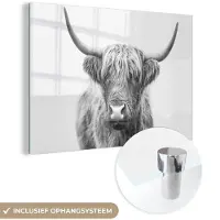 MuchoWow Glasschilderij 60x40 cm - Schilderij acrylglas - Schotse hooglander - Dieren - Hoorns - Zwart wit - Foto op glas - Schilderijen