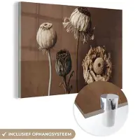 MuchoWow Glasschilderij 30x20 cm - Schilderij acrylglas - Bloemen - Planten - Droogbloemen - Bruin - Foto op glas - Schilderijen