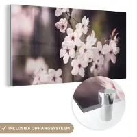 MuchoWow Glasschilderij 120x60 cm - Schilderij acrylglas - Bloemen - Wit - Natuur - Plant - Bloesem - Foto op glas - Schilderijen