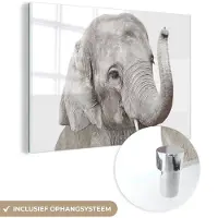 MuchoWow Glasschilderij 180x120 cm - Schilderij acrylglas - Olifant - Dieren - Grijs - Natuur - Foto op glas - Schilderijen