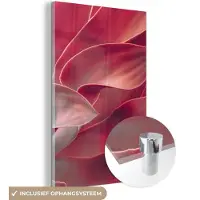 MuchoWow Glasschilderij 40x60 cm - Schilderij acrylglas - Stilleven - Bladeren - Plant - Roze - Foto op glas - Schilderijen