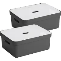 Sunware Sigma Home Opbergbox 24L - set van 2 - antraciet/transparant
