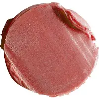 Artdeco Lippen Lipgloss & lipstick High Performance Lipstick No. 462 Light Pompeian Red