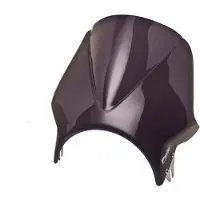 Puig Carenabris Windy Honda Cb600f Hornet Voorruit
