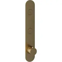 Hotbath Cobber Afbouwdeel thermostaat Verticaal met 2 push buttons Geborsteld Messing PB066