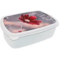 MuchoWow Broodtrommel Wit - Lunchbox - Brooddoos - Bloemen - Rood - Natuur - Planten - 18x12x6 cm - Volwassenen
