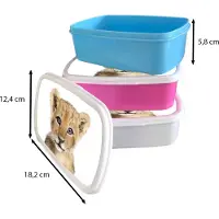 MuchoWow Broodtrommel Blauw - Lunchbox - Brooddoos - Leeuw - Dieren - Natuur - Wit - 18x12x6 cm - Kinderen - Jongen