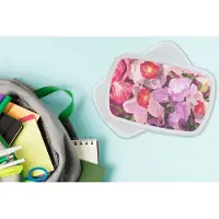 MuchoWow Broodtrommel Wit - Lunchbox - Brooddoos - Roze - Orchidee - Bloemen - Kleuren - Botanisch - 18x12x6 cm - Volwassenen