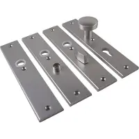Ami Langschild 251/50/8 Zkrg Profielcilinder 55 F-1 R6,5/R7,3 - 215144