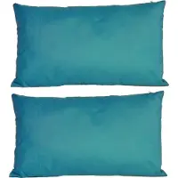 Anna's Collection 8x Bank/sier kussens voor binnen en buiten in de kleur petrol blauw 30 x 50 cm - Tuin/huis kussens