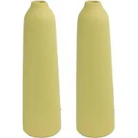 Countryfield 2x stuks bloemenvaas - geel terracotta - D9 x D31 cm - smalle opening - Vazen